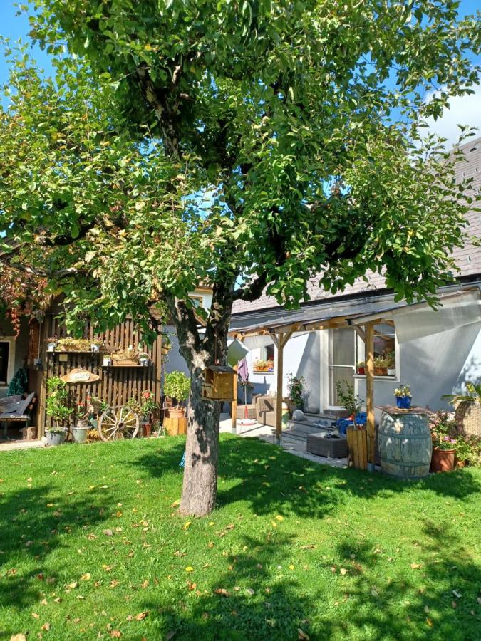 Ferienhaus Tuechler ทัมสเวก ภายนอก รูปภาพ